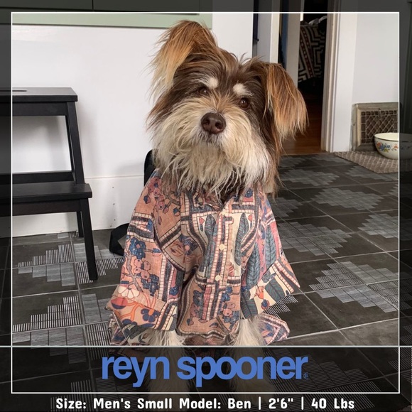 Reyn Spooner men’s short sleeve button up shirt - Picture 1 of 4